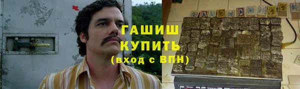 крисы Елабуга