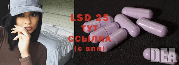 гидра Гусь-Хрустальный
