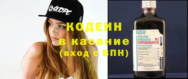 крисы Елабуга