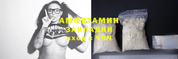 крисы Елабуга