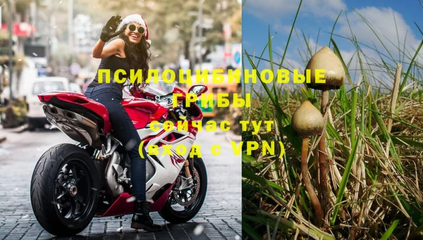 винт Гусев